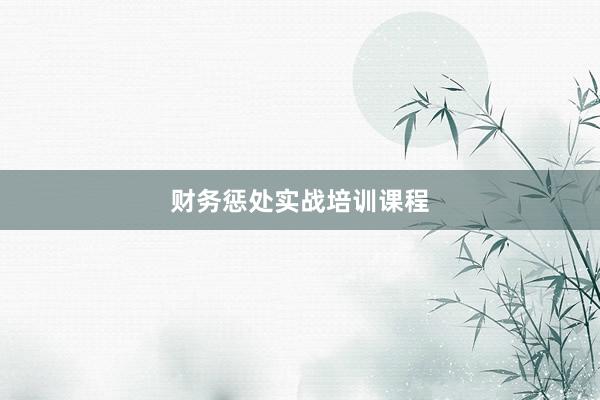 财务惩处实战培训课程